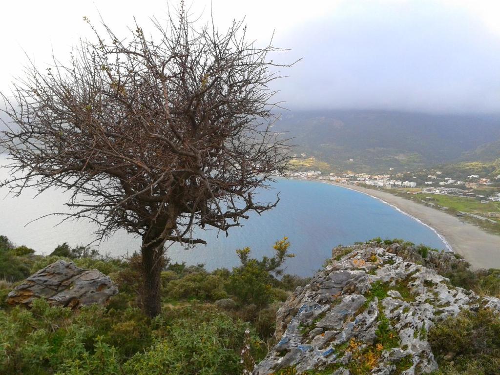 Flisvos Rooms Plakias Exteriér fotografie